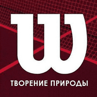 Вода Warta