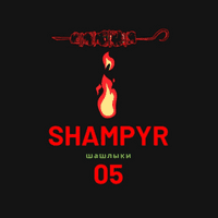 Шампур 05